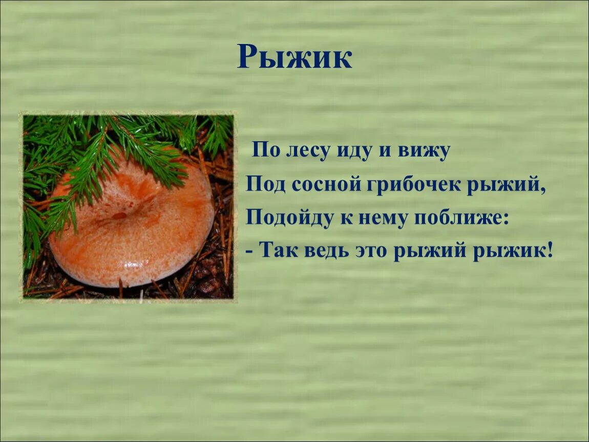 Написал рыжика. Рыжик. Гриб Рыжик презентация. Загадка про Рыжик. Стих про Рыжика.