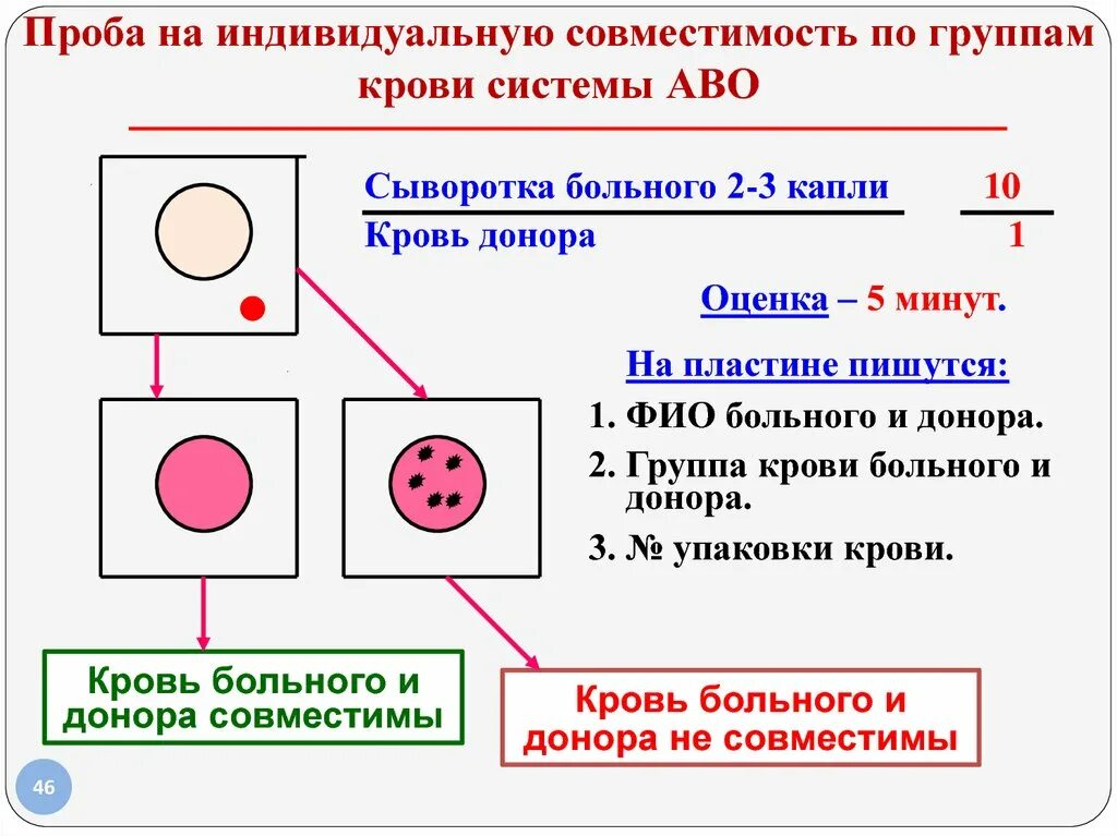 Биологическая проба и проба на индивидуальную совместимость крови. Пробы на совместимость крови методика проведения. «Проба на индивидуальною совместимость по группам крови системы АВО». Определение группы крови на совместимость при переливании крови. Основные системы групп крови