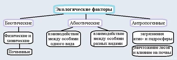 Составьте схему экологические факторы. Составьте схему экологические факторы. Классификация экологических факторов среды. 5 класс биология экологические факторы и среда обитания организмов. Составьте схему экологические факторы.