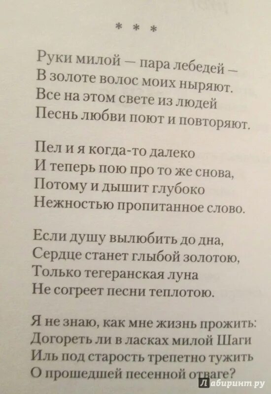 Руки милой пара лебедей стих. Есенин пара лебедей. Руки милой пара лебедей есенин. Руки милой пара лебедей есенин стих текст. Руки милой пара лебедей есенин стих.