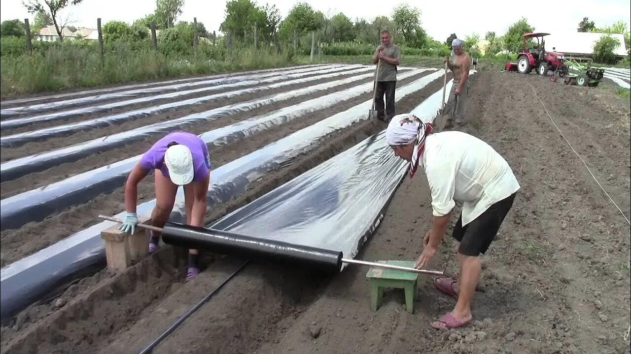 Капельный полив клубники агроволокно