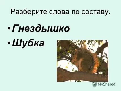 Белка по составу 4 класс