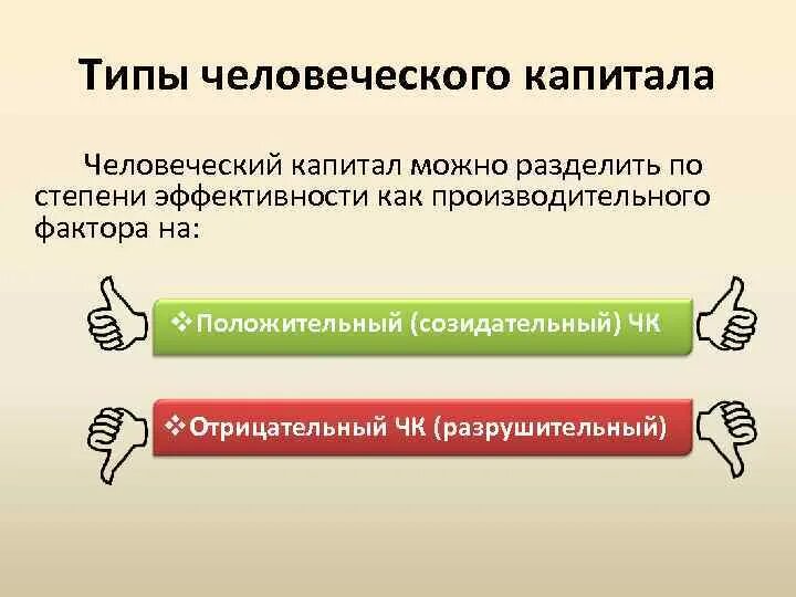 Экология