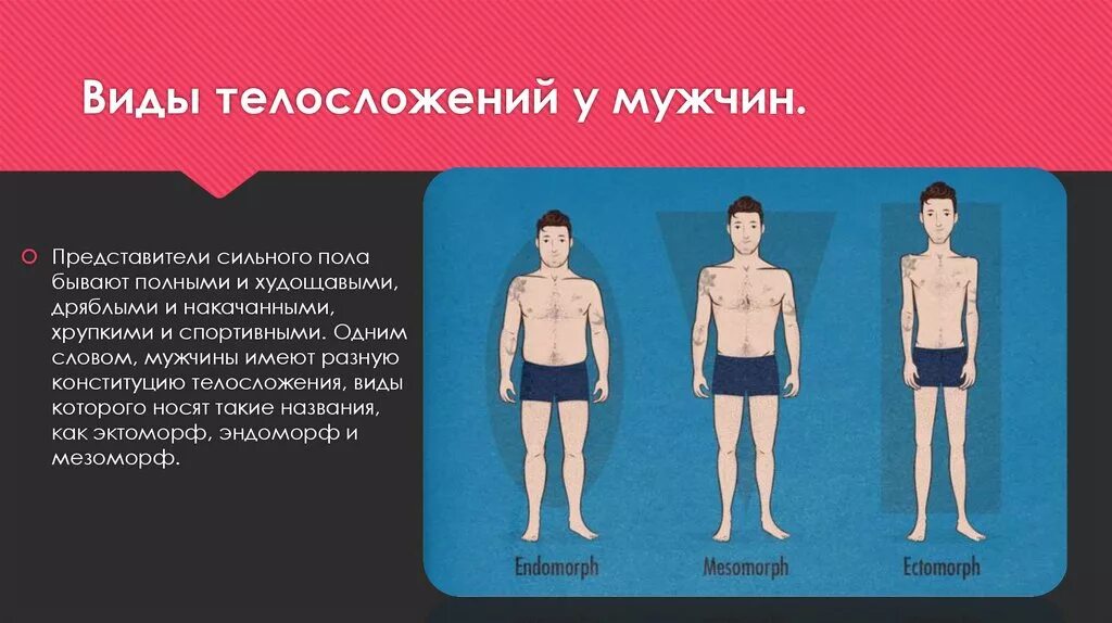 Почему называют мужским. Телосложение человека. Типы телосложения. Тип телосложения мужчи. Умеренное Телосложение.