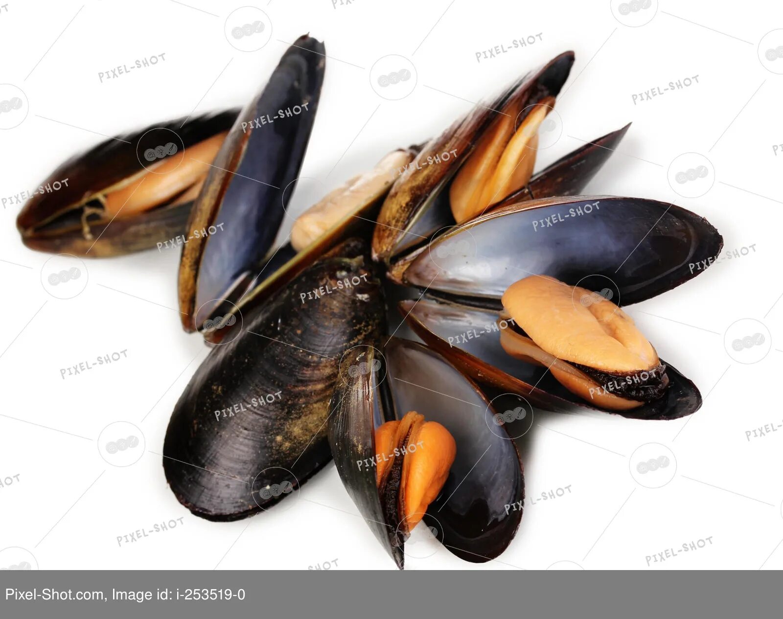 Жареные блюда из моллюсков. Скорлупки мидий. Мидии в скорлупе. Корейская мидия. Мидии в закрытом виде.