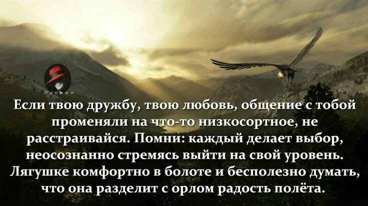 Песня я любовь променял на любовь. Полет мысли цитаты. Если твою дружбу любовь променяли на что-то низкосортное. Если твою дружбу твою любовь общение. Если твою дружбу твою любовь променяли.