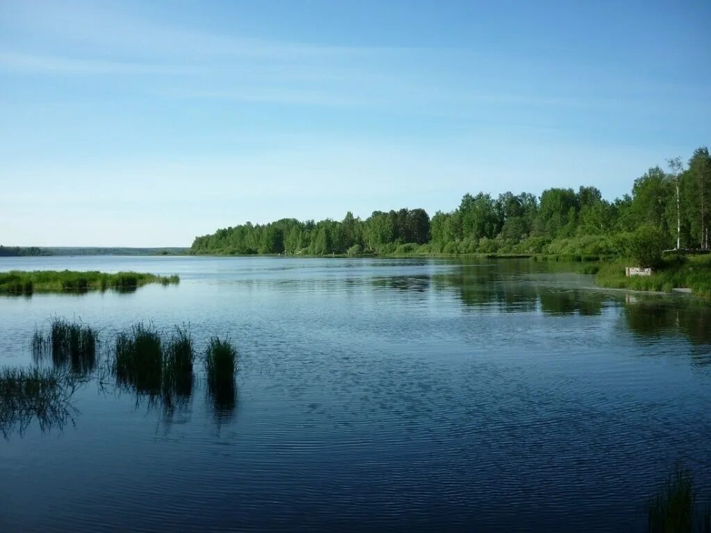 Погода в грузино ленинградской области всеволожский район. Грузино озеро Всеволожский район. Грузино 4. СНТ Грузино 4. Поселок Грузино Ленинградской области.