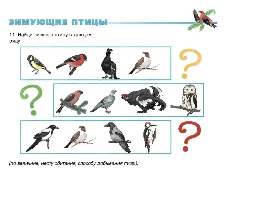 Теремкова зимующие птицы задания. Перелётные птицы и зимующие птицы задания для дошкольников. Зимующие птицы занятие для малышей. Задания для детей зимующие птицы для детей.