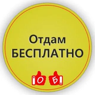 Среда отдам