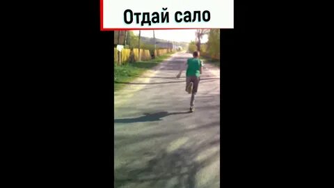 Отдай сало