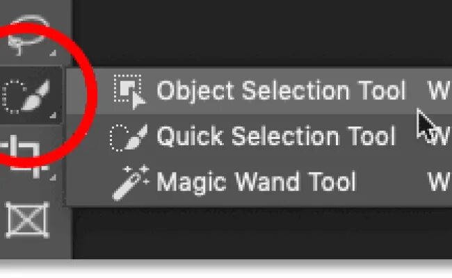 Selection tool. Object selection Tool. Фотошоп object selection. Инструментом selection Tool. Object selection Tool в русском фотошопе.