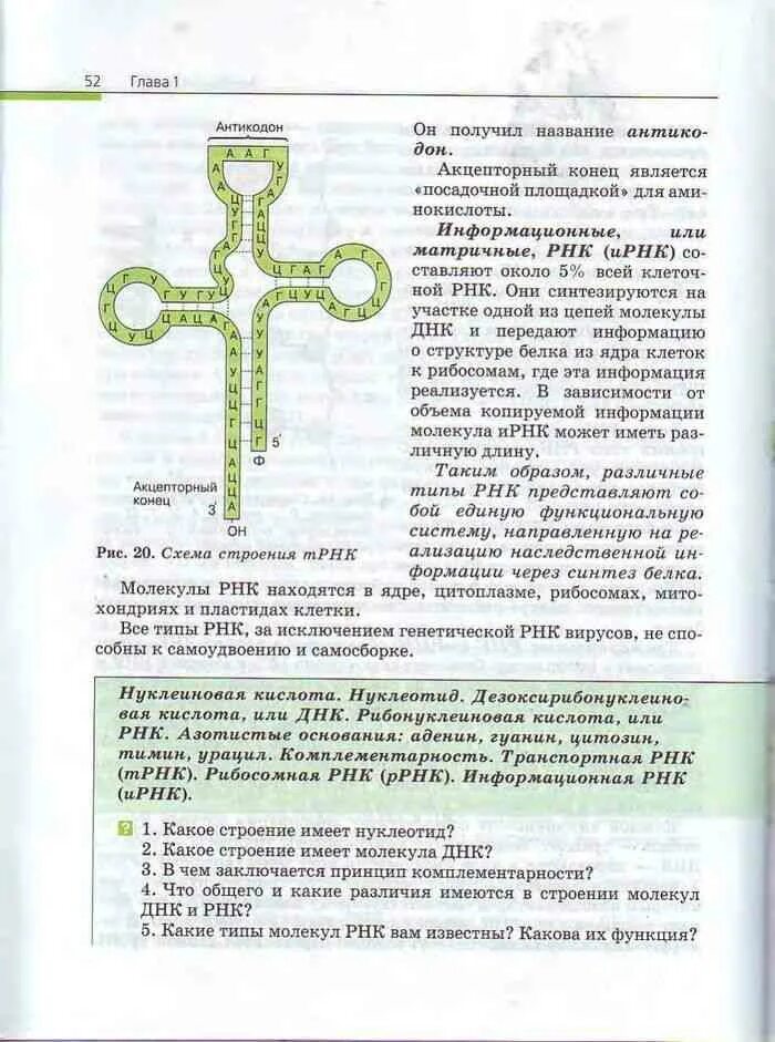 Учебник по биологии 10 класс пасечник читать. Учебник по биологии за 10 класс Пасечник. Книга по биологии 10-11 класс Пасечник. Биология 10 класс учебник Пасечник Каменский. Книга по биологии 11 класс Каменский.