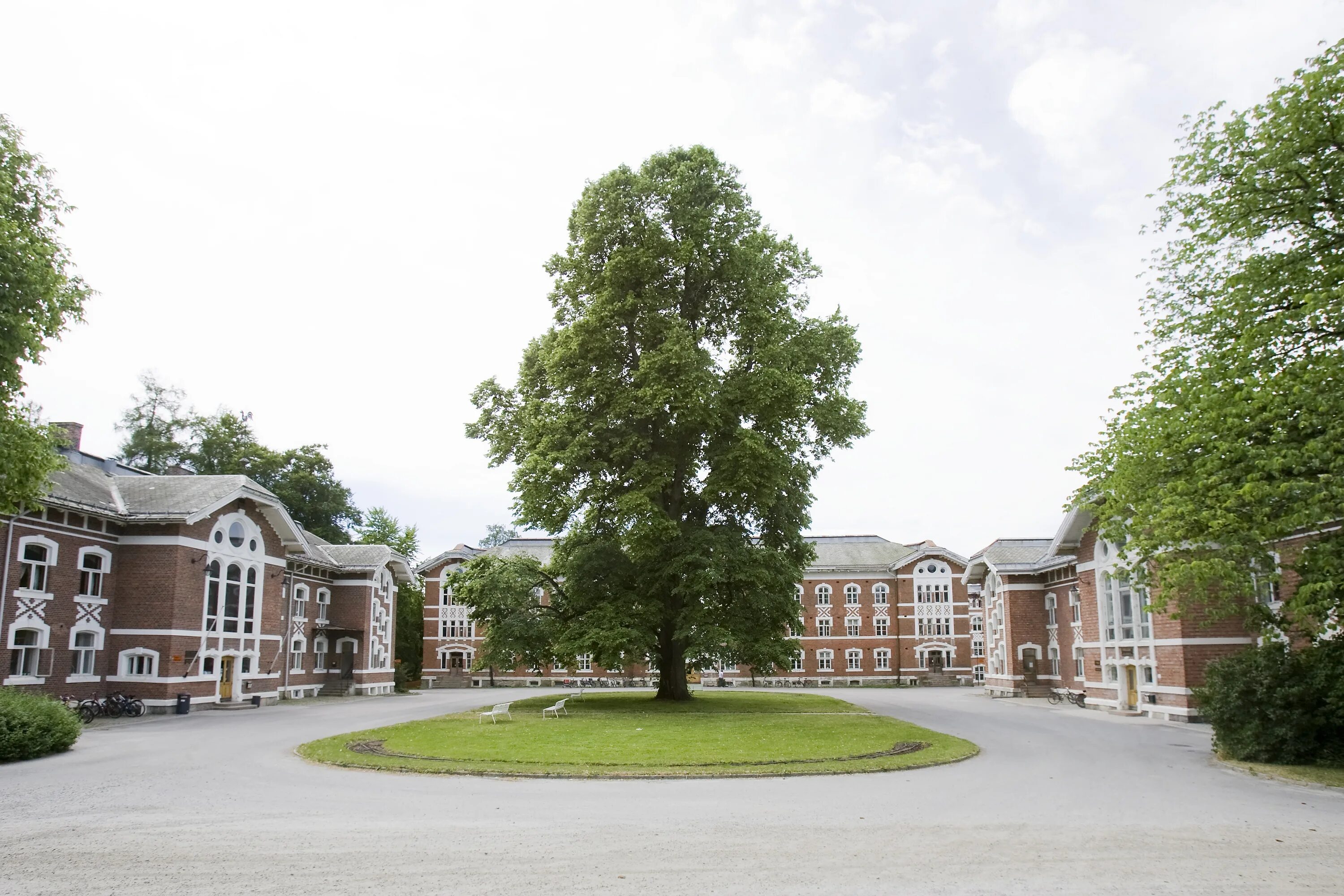 Норвежский университет. Норвежский университет осло логотип. Nord university норвегия. Норвежский университет науки и технологий, норвегия. Life science university.