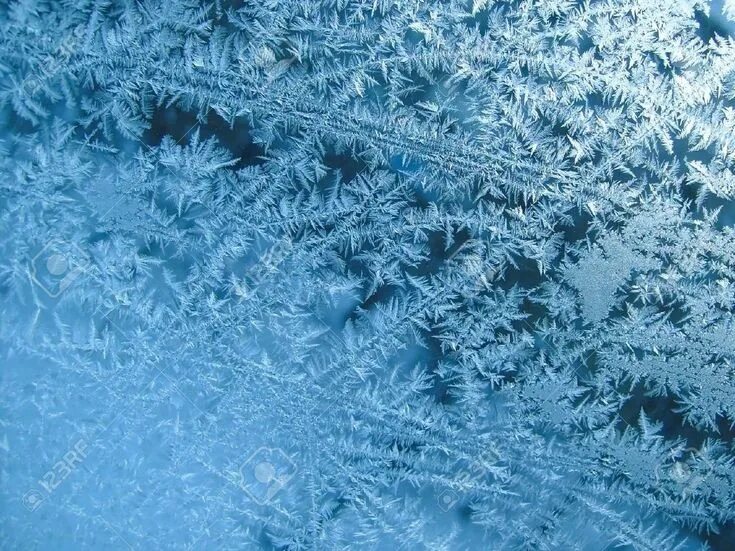 Frosted c