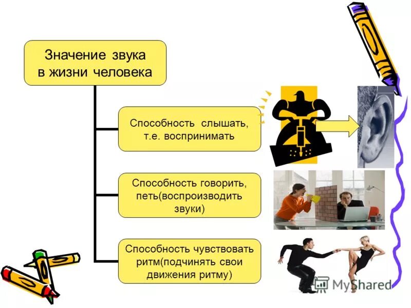 Информация о себе. Значимость звука для человека. Значение звука для человека. Омонимы примеры. Фоносемантика.