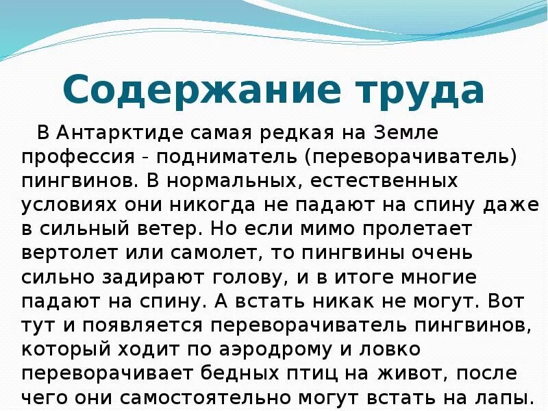 Поднимать пингвинов в антарктиде вакансии. Редкие профессии переворачиватель пингвинов. ПОДНИМАТЕЛЬ пингвинов профессия. Работа переворачивать пингвинов. Профессия по переворачиванию пингвинов.