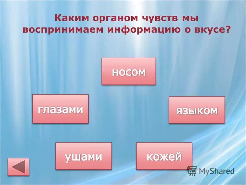 Какой орган по выражению. Зоны прыщей на лице. Какой орган по выражению. Период обновления клеток в организме. Циклы обновления клеток организма человека.