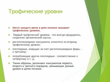 Трофические уровни первичной продукции