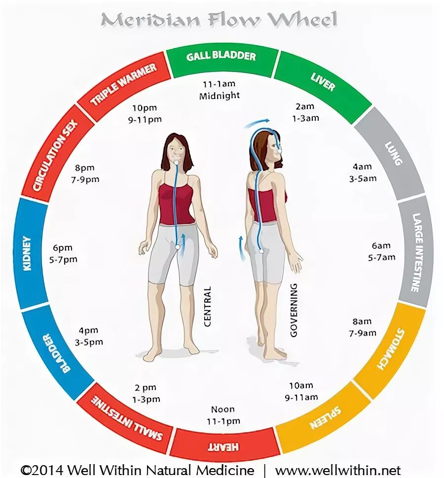 Цветовой Меридиан сознания схема таблица. Toroidal Energy Medicine. Iporeduct Meribian. Meridian Lattakia how Swim. Well within