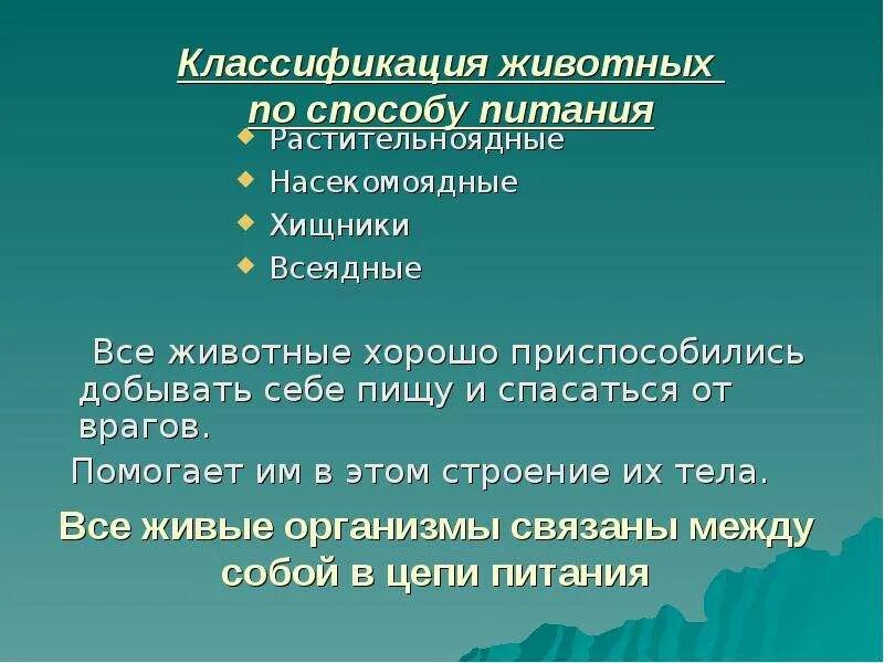 Классификация животных. Типы животных классификация. Классификация зверей по питанию. Группы животных по способу питания. 3 группы животных по способу питания