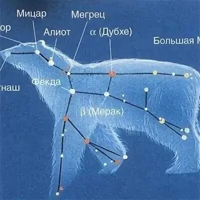 Звезды в составе большой медведицы