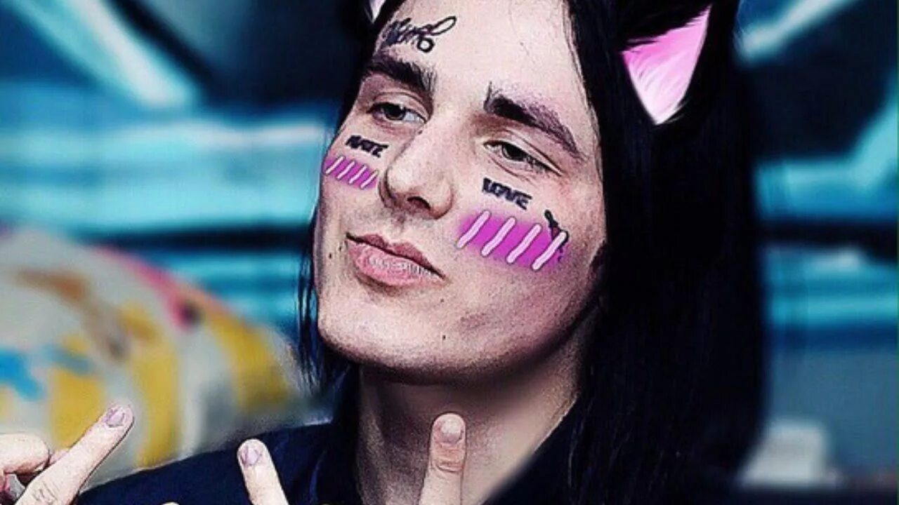 Face кот. Face дремин. face ваня дремин.