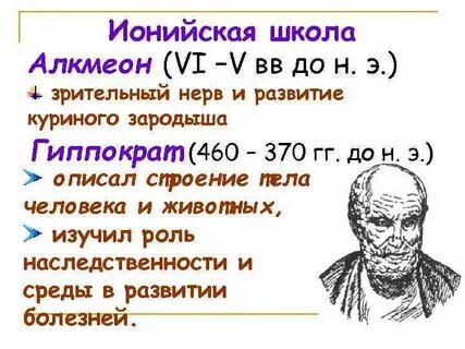 Ионийская школа философии