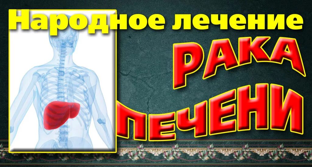 Онкология и народная медицина. Народная медицина для печени. Онкология народные средства. Народные методы против опухолей. Рак лечиться или жить