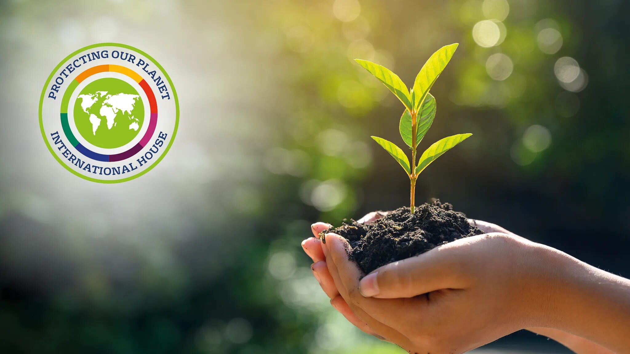 Protecting our environment