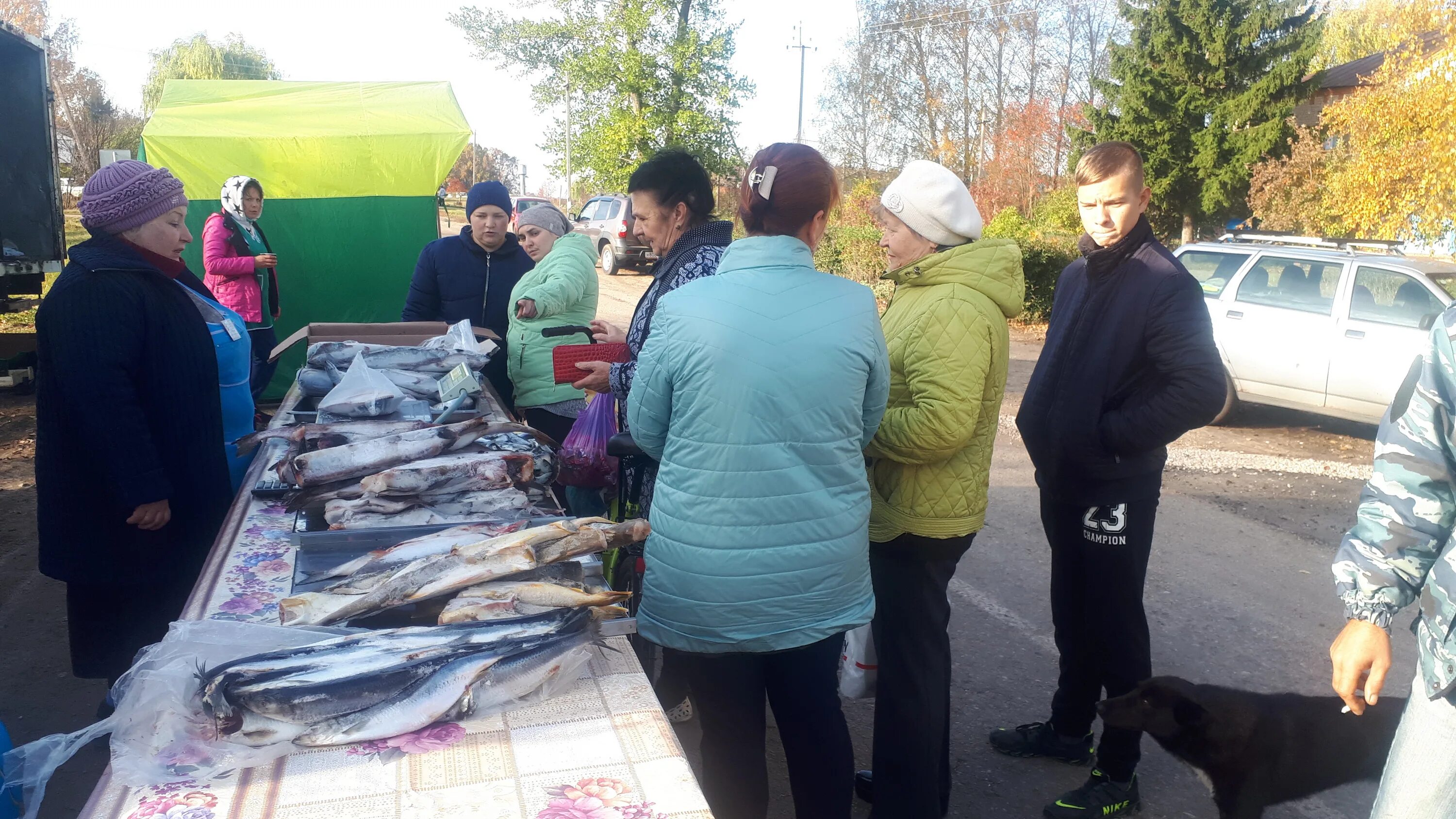 большая боевка липецкая область