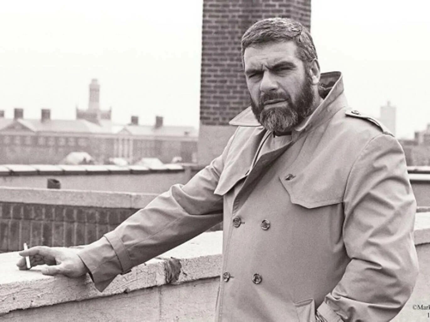 Довлатов писатель. Довлатов эмиграция. Довлатов сергей 1990. Довлатов эмиграция. Довлатов в молодости.