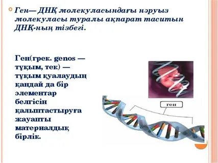 Презентация гена