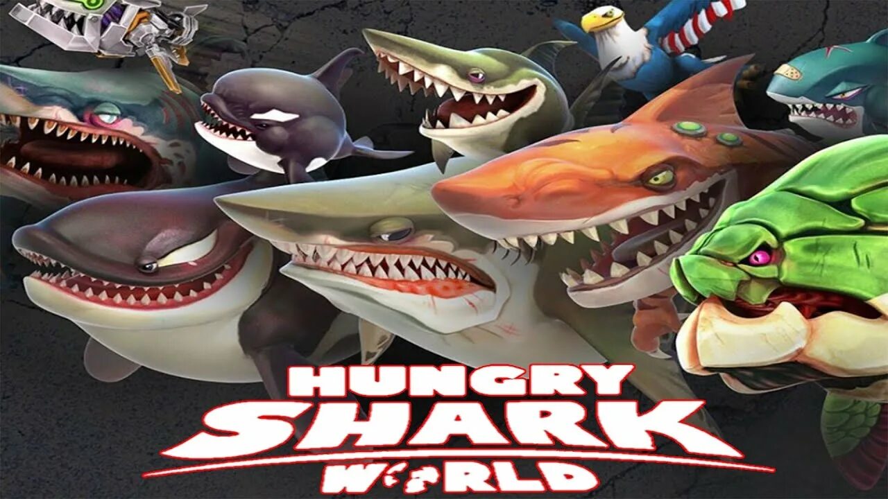 Акула из Хангри Шарк. Акула игра hungry Shark. Хангри Шарк белая акула. Игра голодная акула 2. Игра большая акула