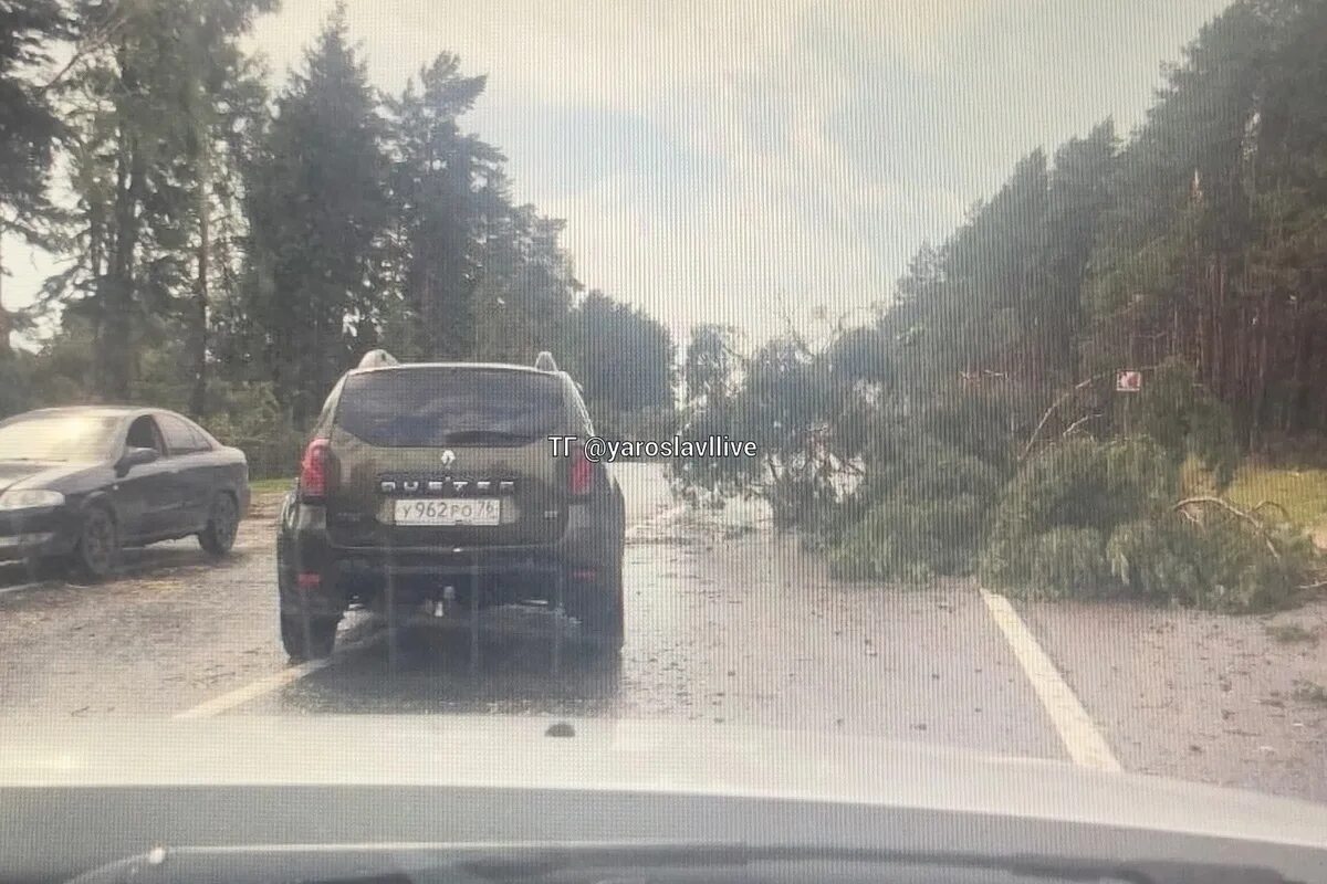 В Ярославской области в смертельном ДТП пострадали двое детей - СОРОКА