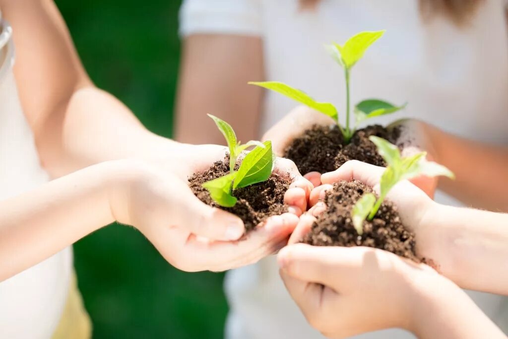 Healthy environment