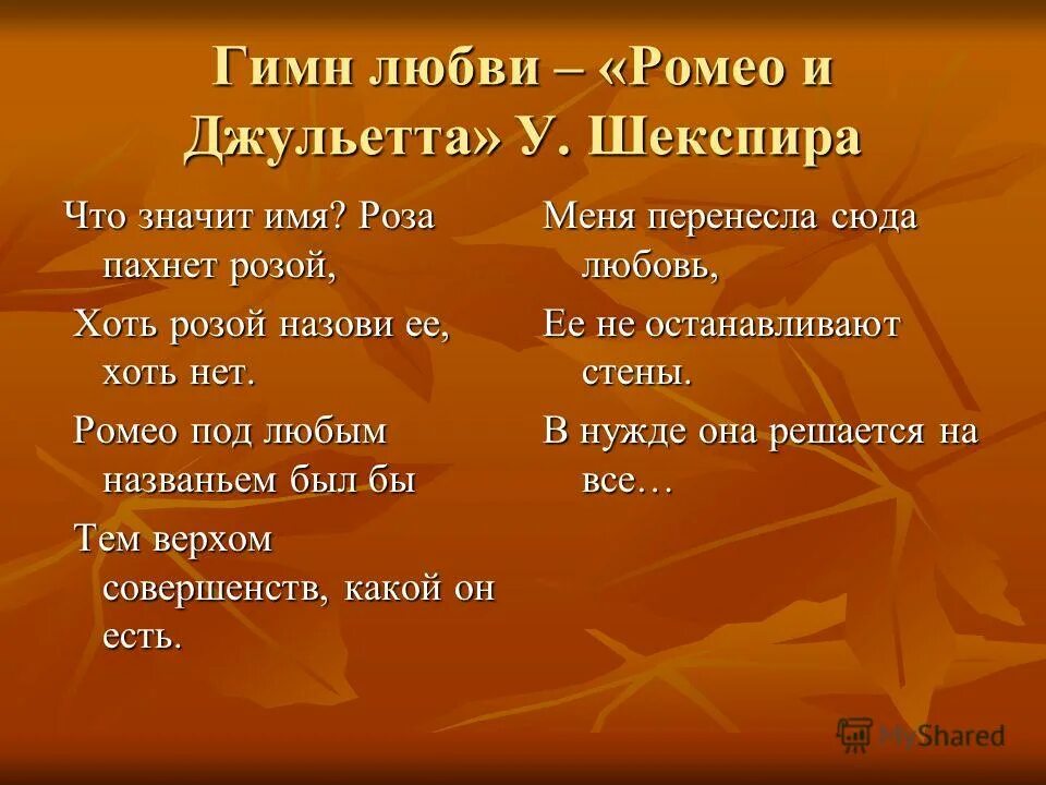 Какую вечную книгу. Какую вечную книгу