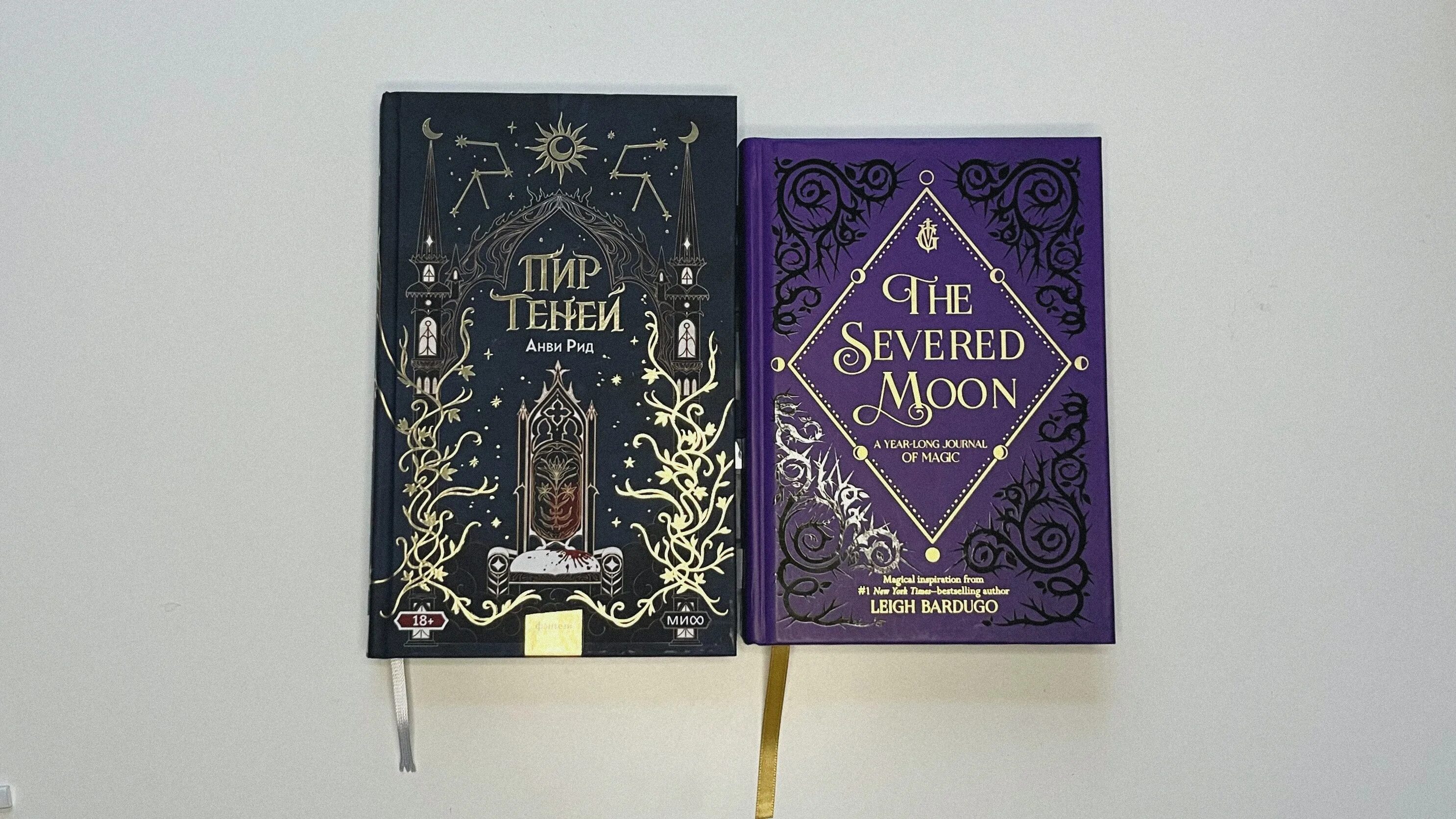 Анви рид. Рид анви пир теней продолжение. Анви рид. Пир теней анви рид иллюстрации. Пир теней книга анви рид.