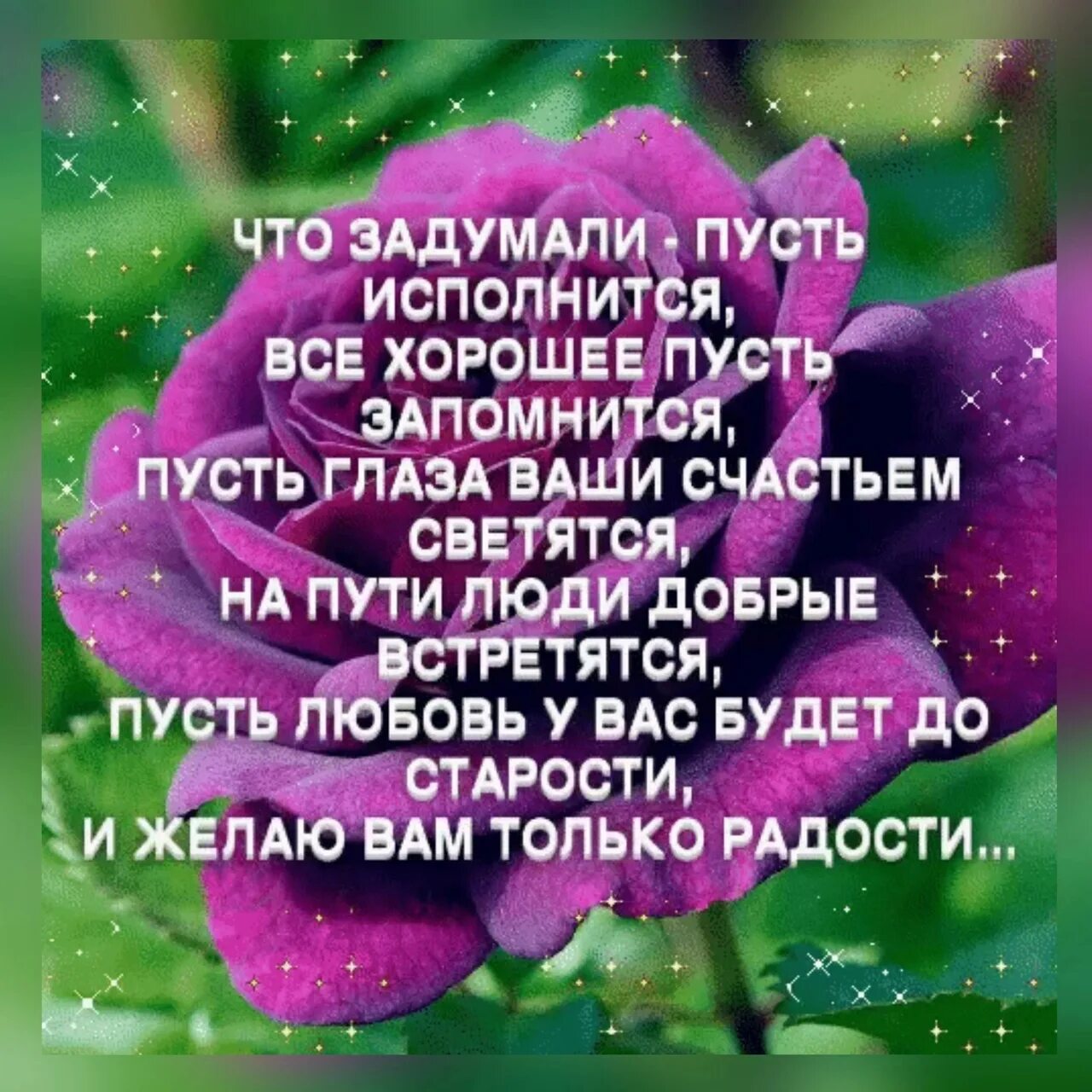 Глаза светились от счастья троп. Задуманное реализуется пусть. Пусть встречаются только хорошие добрые люди. Пусть только хорошее в жизни. Пусть на твоем пути встречаются только хорошие добрые люди.