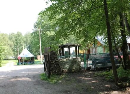 Березка донецк ростовская область