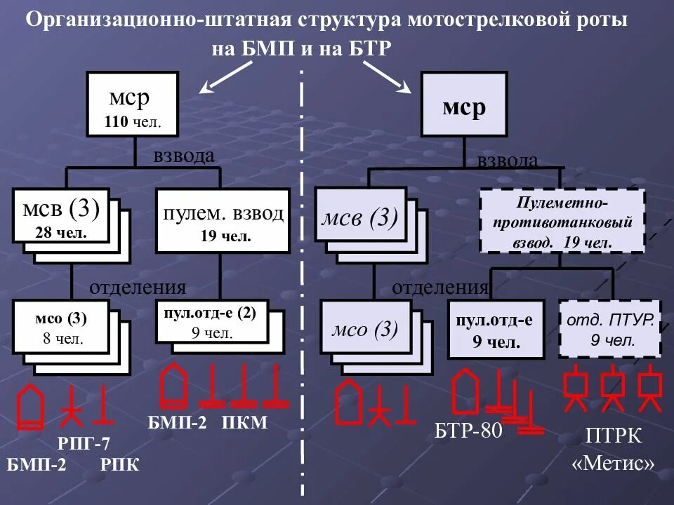 Мотострелковый полк. Организационно-штатная структура мотострелкового взвода вс РФ. Организационно-штатная структура мотострелкового взвода на БМП вс РФ. Организационно штатная структура и вооружение МСР. Организационно штатная структура МСБ на БТР.