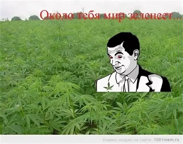 Около тебя