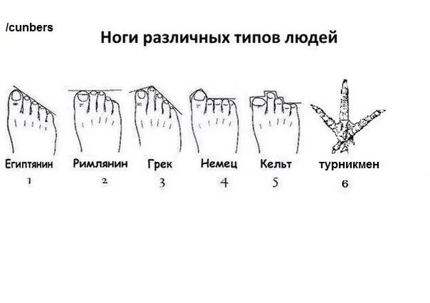 Типы стопы человека. Форма стопы Римская Греческая. Форма стопы Греческая Римская и Египетская. Пальцы на ногах римлянин Грек. Пальцы на ногах виды.