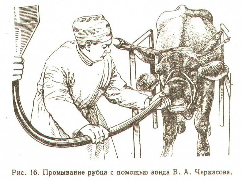 Зондирование животных