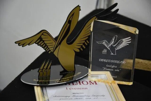 Учитель года какая награда. Учитель года какая награда