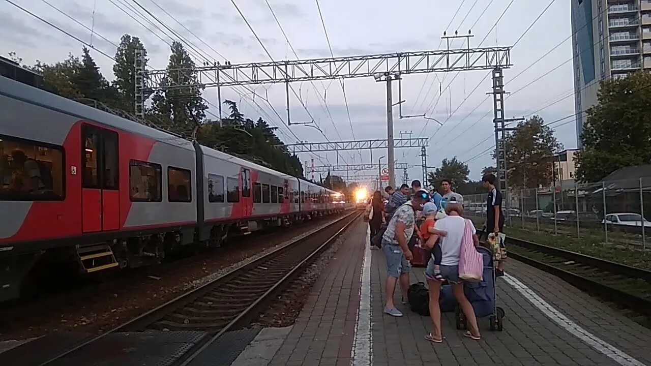 Поезд Северная Пальмира СПБ Туапсе. Северная Пальмира 036с. Поезд 642 Ростов Лазаревская. РЖД Северная Пальмира. Казань лазаревское жд билеты