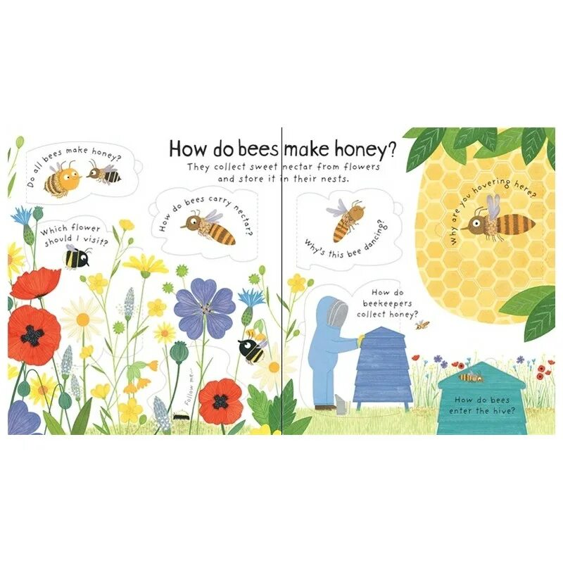 Why do bees to this. How do bees make honey. questions and answers about food usborne. where the bees make honey. picture stories with a bee.