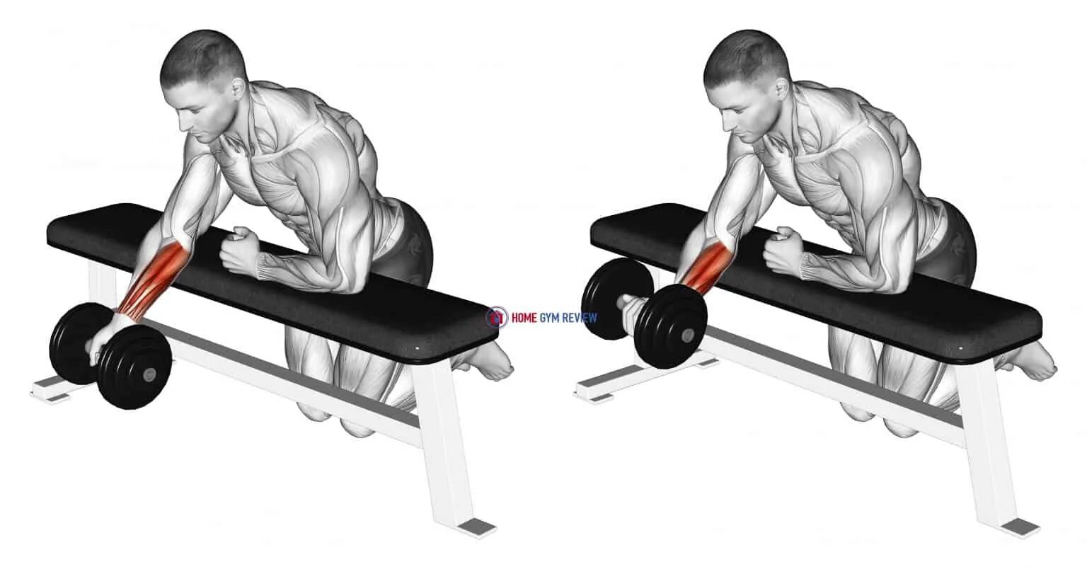 Curl token. Dumbbell Bench Wrist Curls. Упражнение для предплечья с гантелей. Французский жим с резиной. Wrist Curls упражнение.