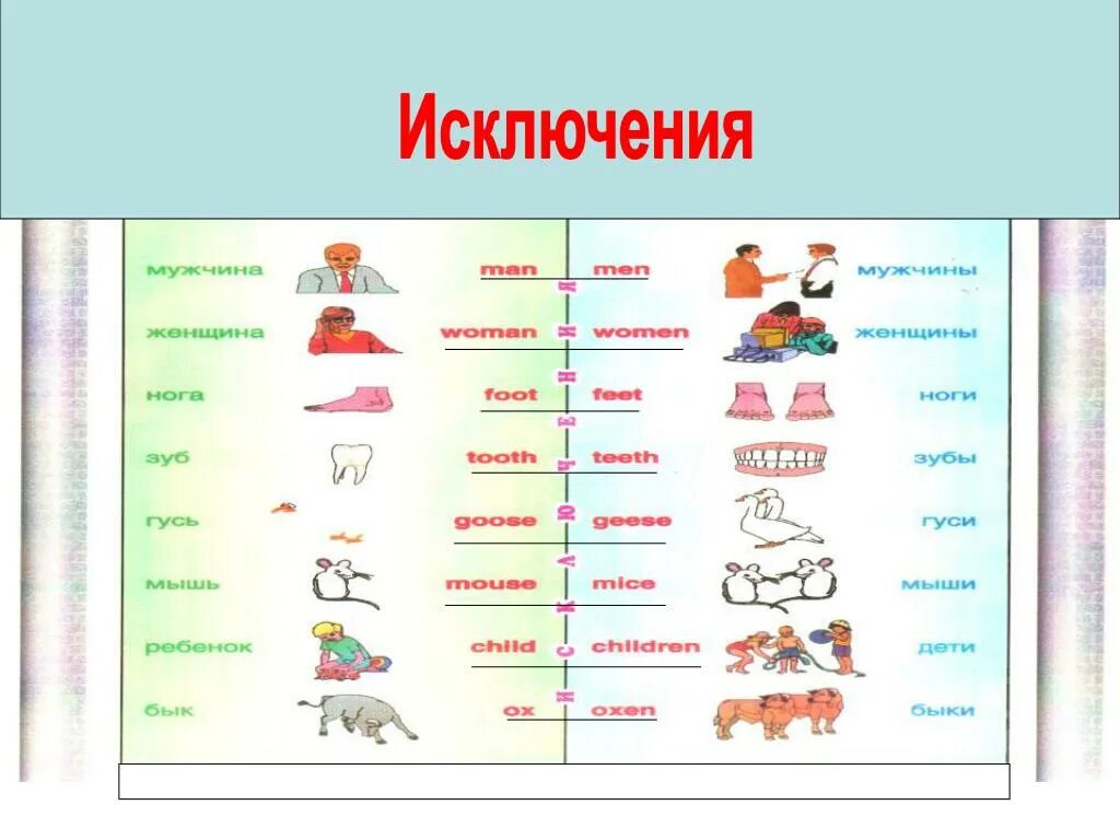 Слова исключения существительные множественного числа. Исключения множественного числа в английском языке. Множественное число исключения. Слова исключения в английском множественное число. Исключения мн ч в английском.