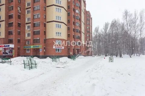 Г бердск ул красная сибирь
