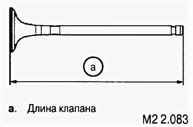 Размер клапанов дэу нексия 8 клапанов. Длина клапанов. Длина клапанов. Диаметр ножки впускного клапана 4. Длина клапанов.